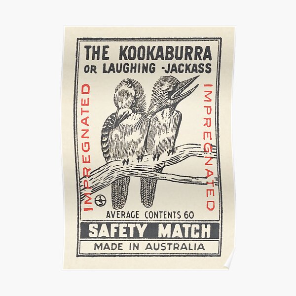 The Kookaburra or Laughing Jackass Poster RB1309 product Offical jackass Merch