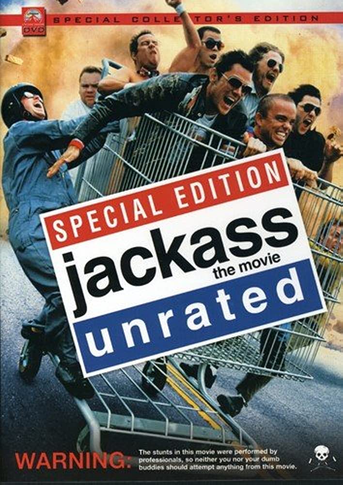 When you are familiar with its subject matter, you may enjoy the movie series Jackass
